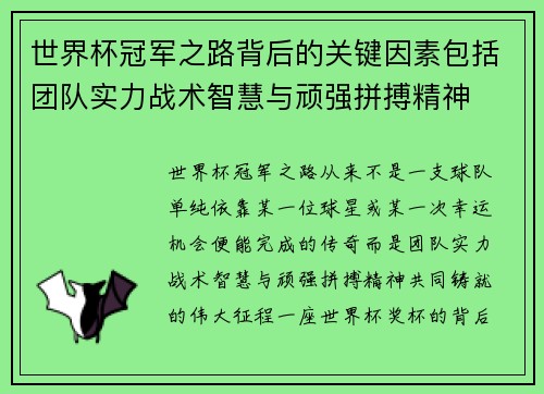 世界杯冠军之路背后的关键因素包括团队实力战术智慧与顽强拼搏精神 世界杯冠军之路背后的关键因素包括团队实力战术智慧与顽强拼搏精神
